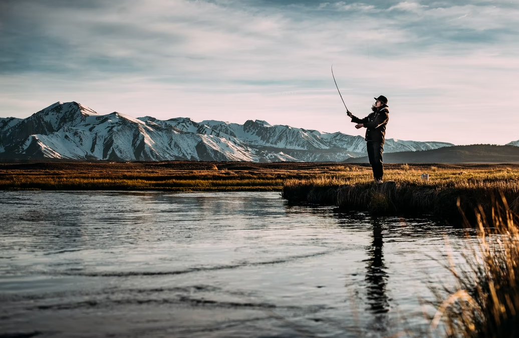 LESSONS ON FISHING FROM A HERON